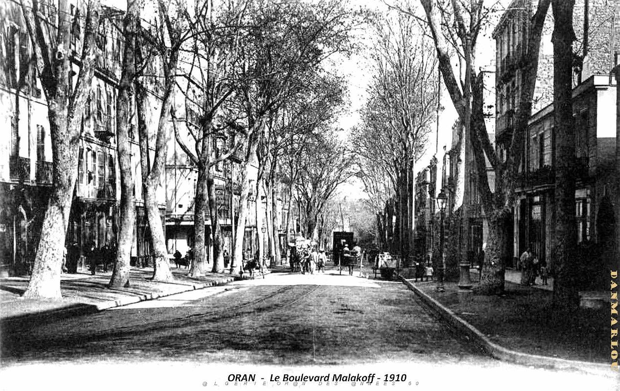 Oran - Boulevard Malakoff - 1910.jpg